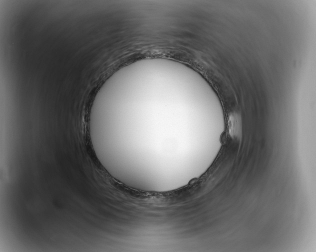 X0000088901395200706080817