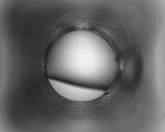 X0000088901396200706080817