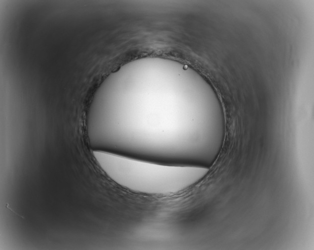 X0000088901397200706080817