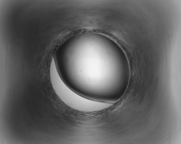 X0000088901398200706080817