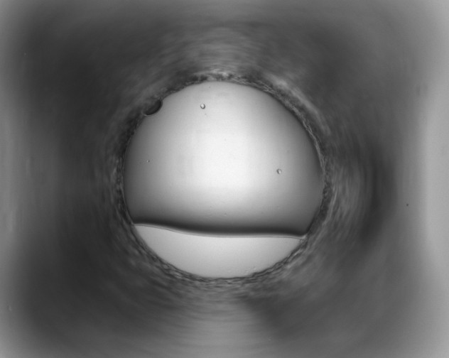X0000088901399200706080817
