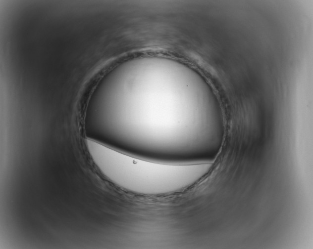 X0000088901400200706080817