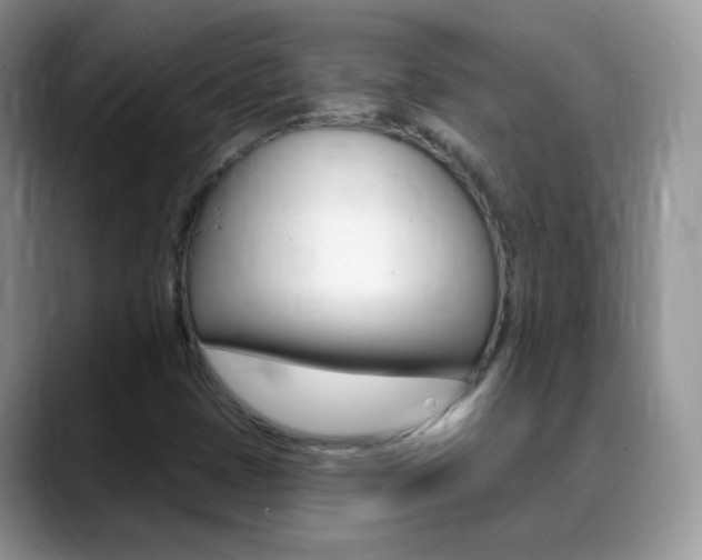 X0000088901401200706080817