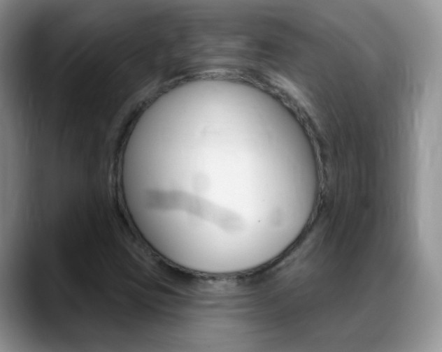 X0000088901403200706080817