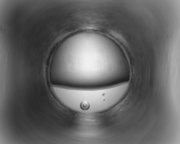X0000088901404200706080817