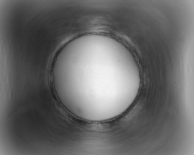X0000088901405200706080817