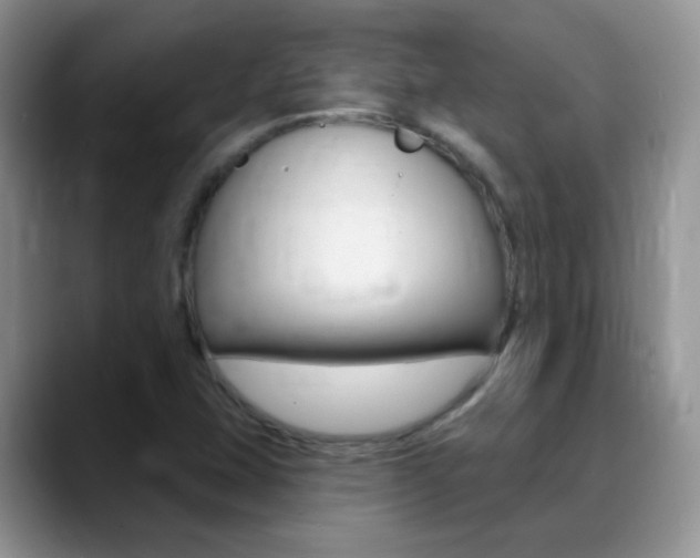 X0000088901407200706080817