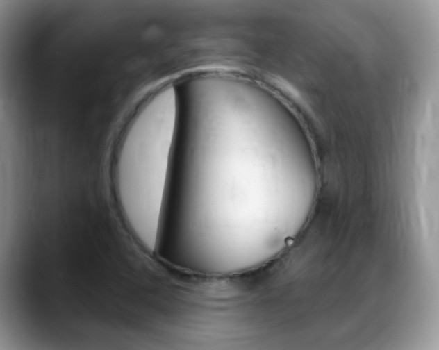 X0000088901408200706080817