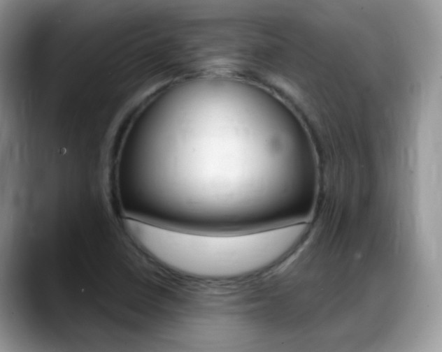 X0000088901410200706080817