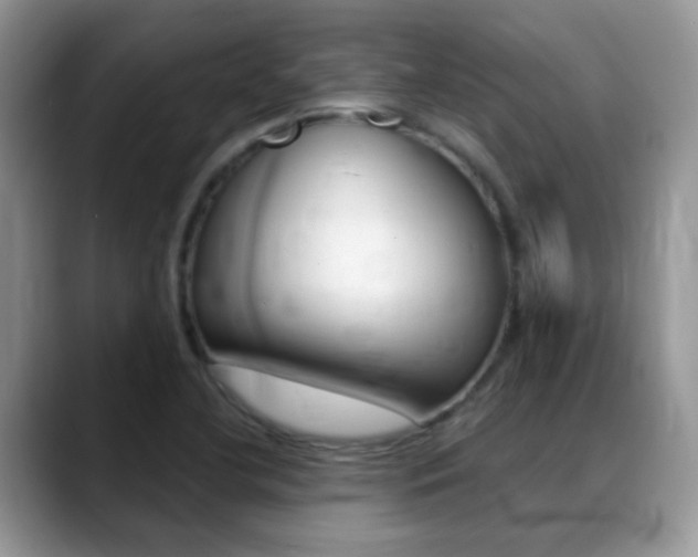 X0000088901412200706080817