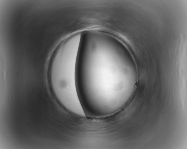 X0000088901414200706080817