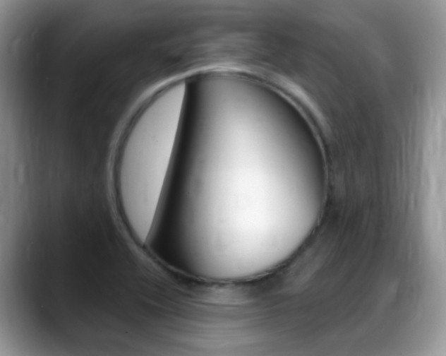 X0000088901416200706080817