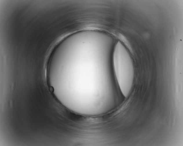 X0000088901419200706080817