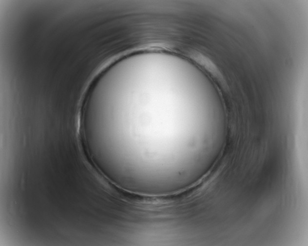 X0000088901420200706080817