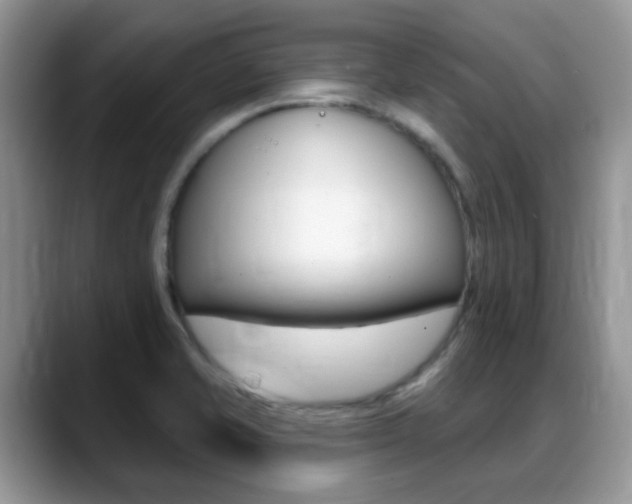 X0000088901421200706080817