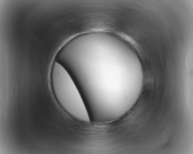 X0000088901423200706080817