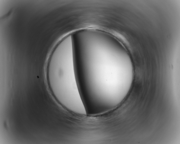 X0000088901424200706080817