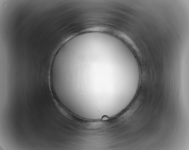 X0000088901425200706080817