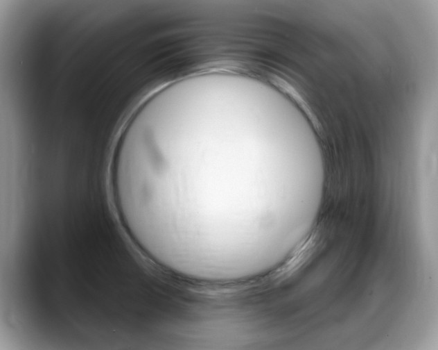 X0000088901426200706080817