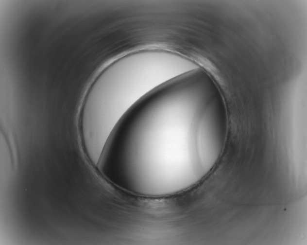 X0000088901428200706080817