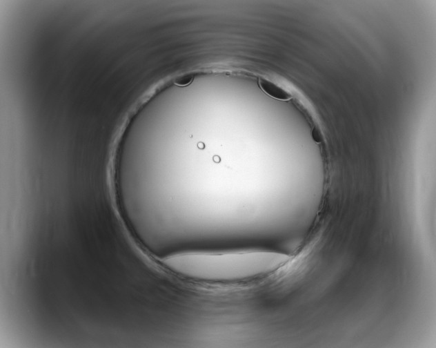 X0000088901429200706080817