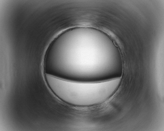 X0000088901432200706080817