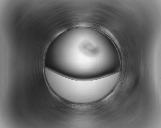 X0000088901433200706080818