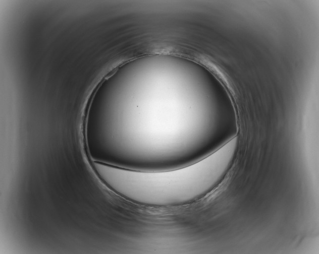 X0000088901434200706080818