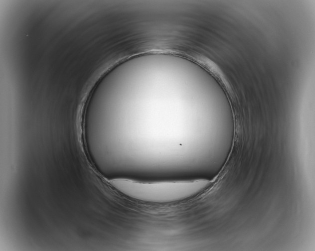 X0000088901435200706080818
