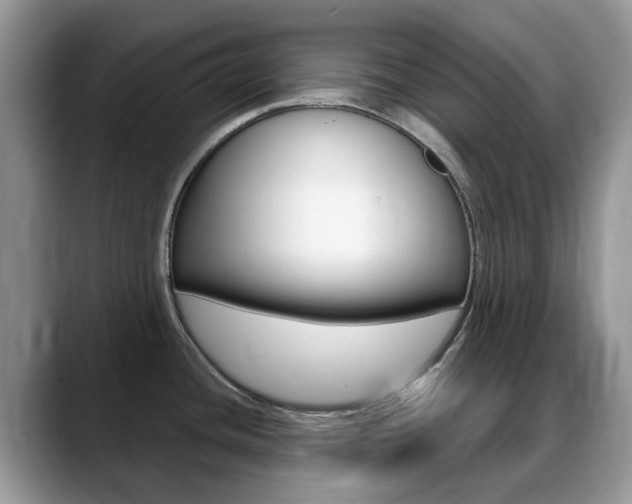 X0000088901436200706080818