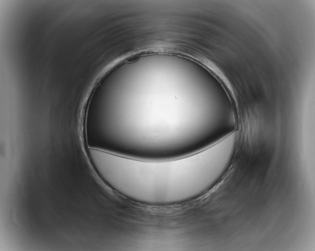 X0000088901437200706080818