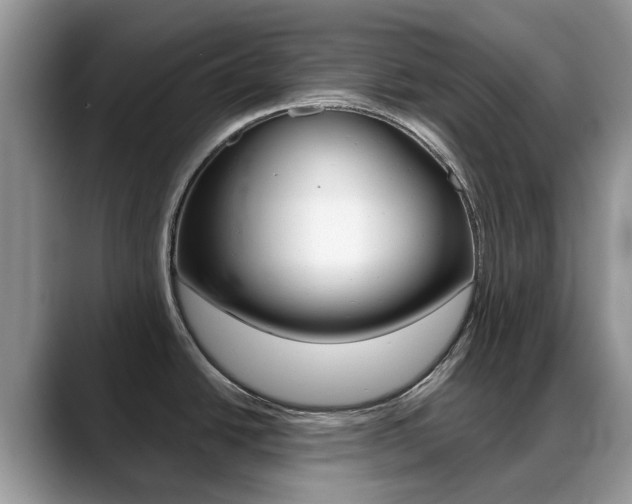 X0000088901438200706080818