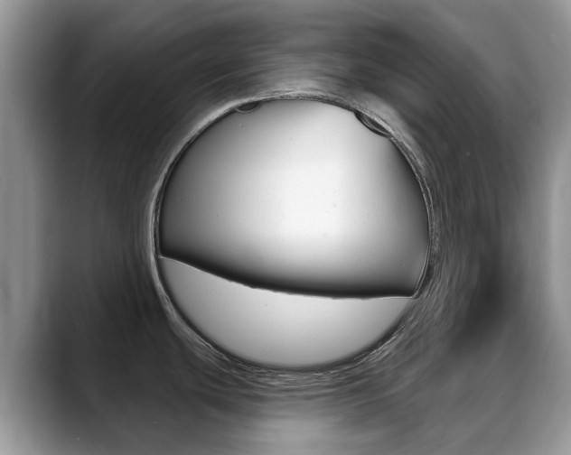 X0000088901439200706080818