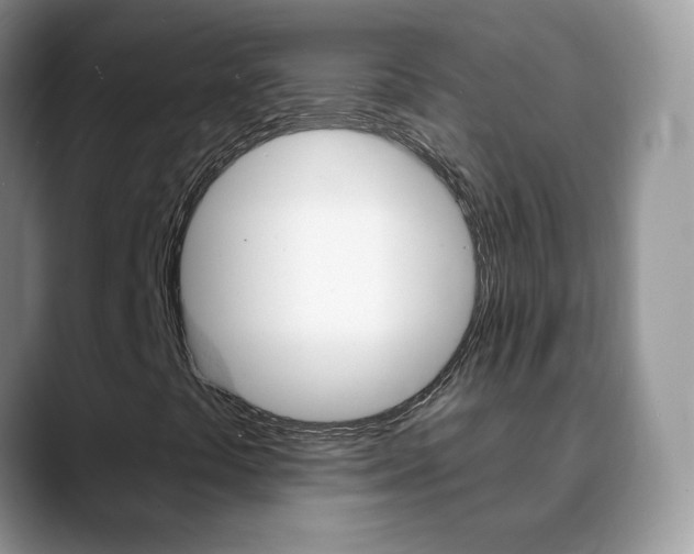 X0000088901441200706080817