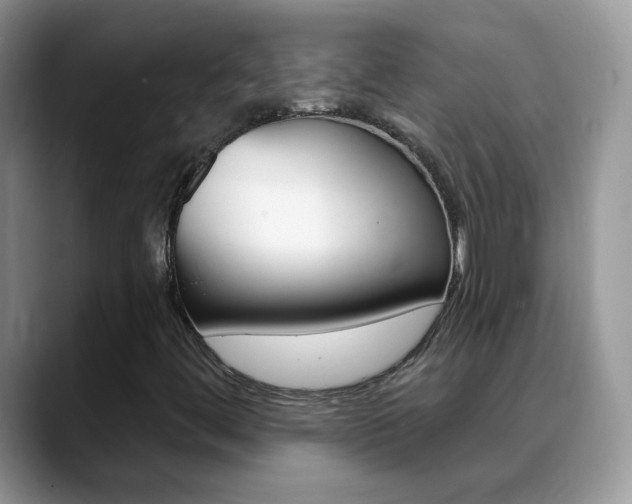 X0000088901444200706080817