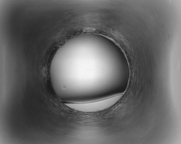X0000088901445200706080817