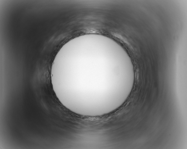 X0000088901446200706080817