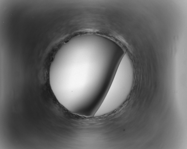 X0000088901448200706080817