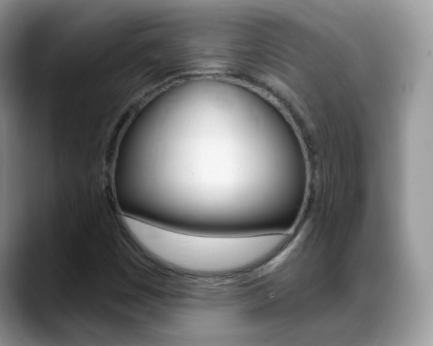 X0000088901449200706080817