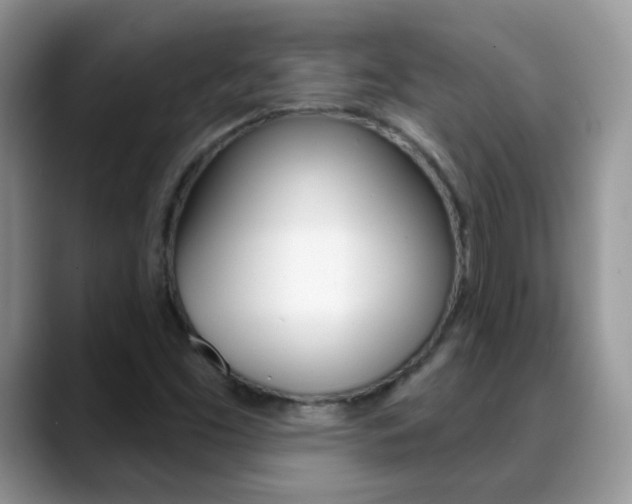 X0000088901453200706080817