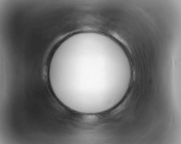 X0000088901454200706080817