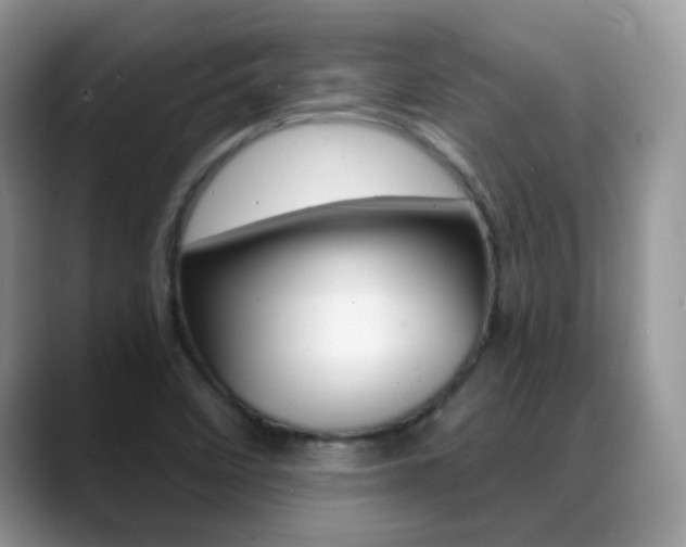 X0000088901458200706080817