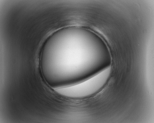 X0000088901459200706080817