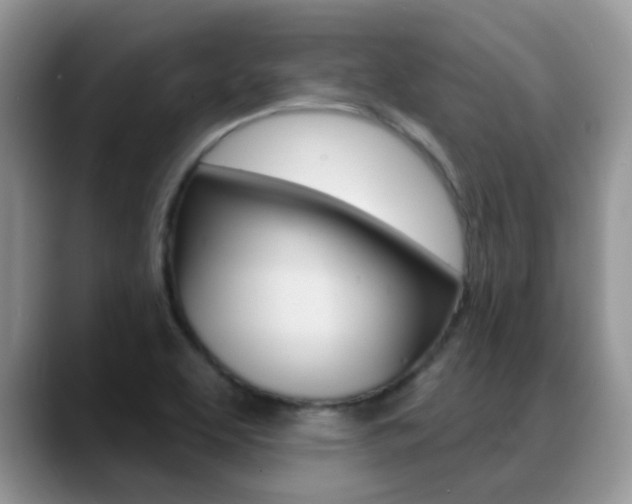 X0000088901463200706080817