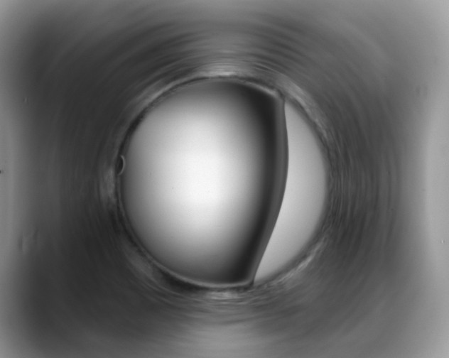 X0000088901465200706080817