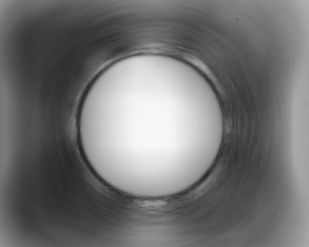 X0000088901466200706080817
