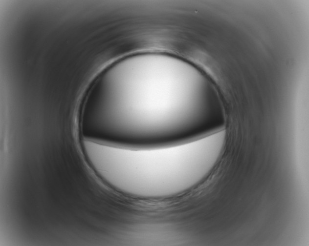 X0000088901468200706080817