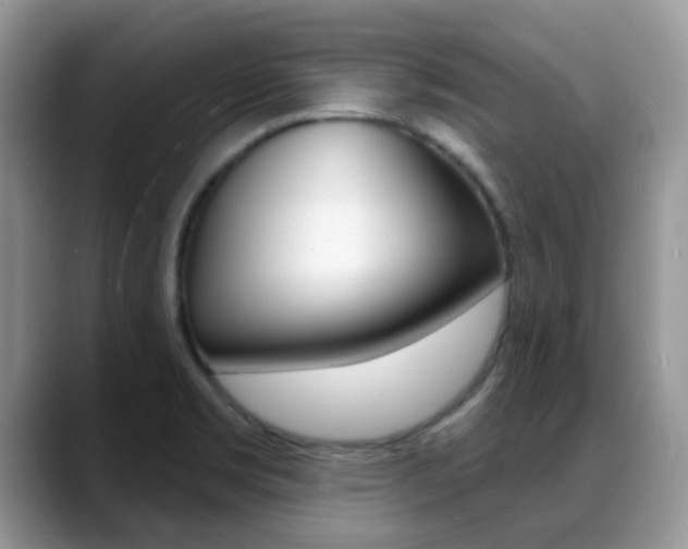 X0000088901469200706080817