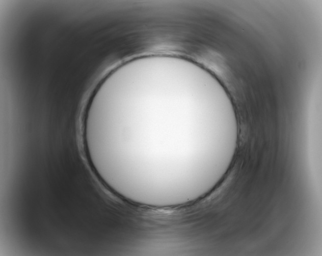 X0000088901470200706080817