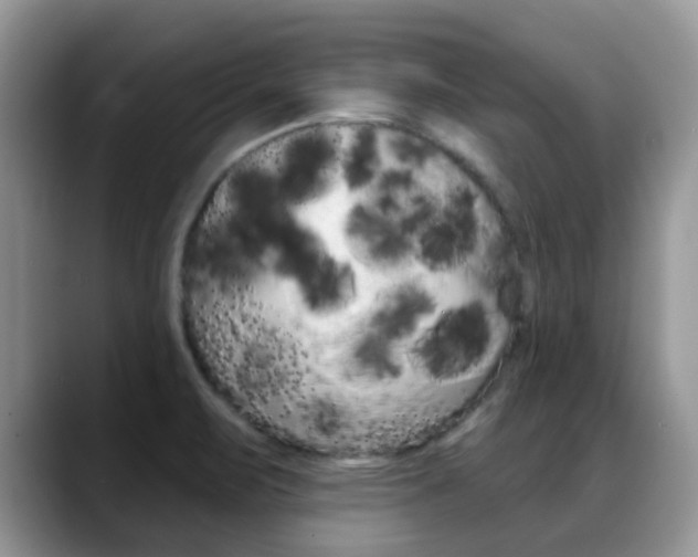 X0000088901471200706080817